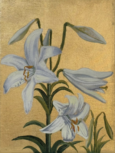  ΝΕΚΤΑΡΙΟΣ ΑΠΟΣΠΟΡΗΣ - (1979 - ) - ΛΕΥΚΟΙ ΚΡΙΝΟΙ 